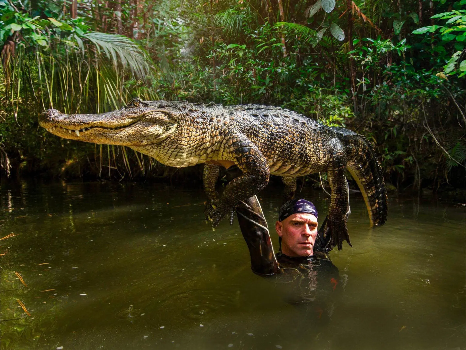 Paul Bedard Gator Boys Alligator Rescue