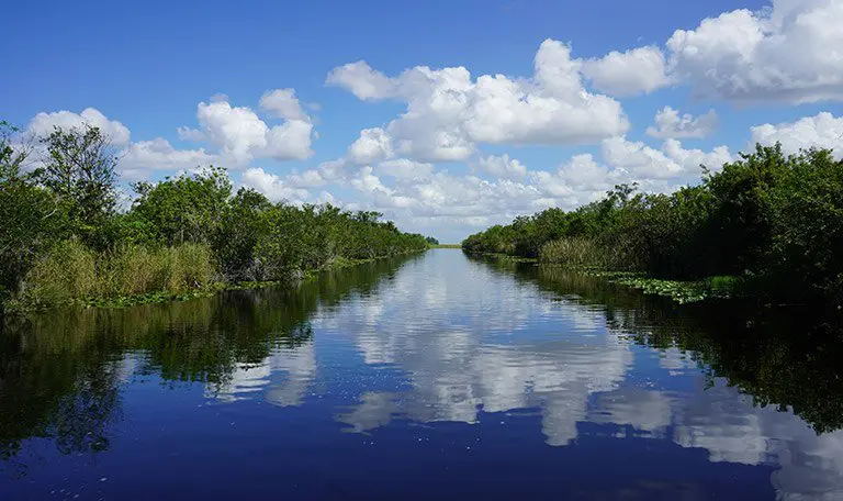 Everglades via the Airboat Tour