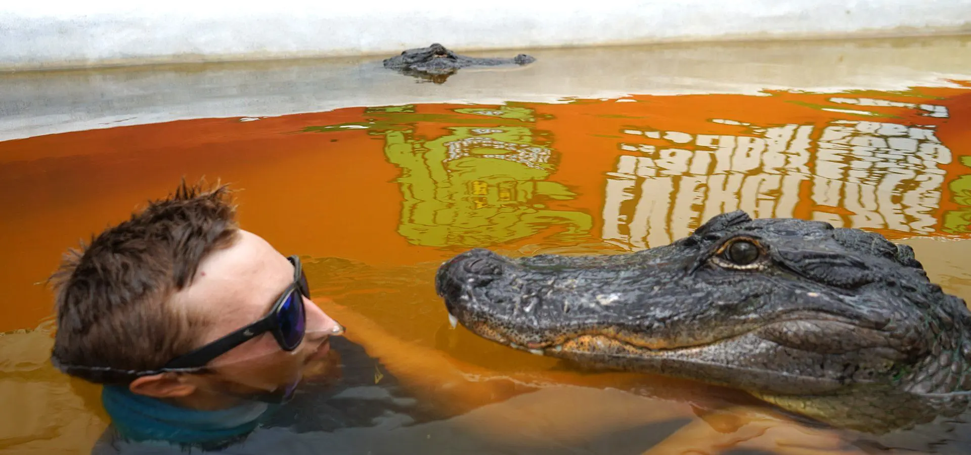 Kevin Swimming with Rescued Gators