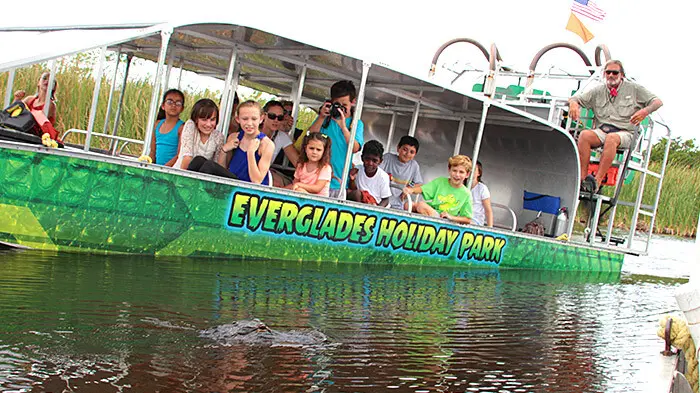 Airboat Tour Safe Wildlife Encounter