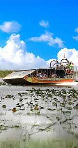 60-Minute* Airboat Tour (Adult)