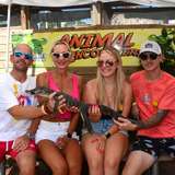 Animal Encounters