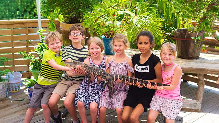 Animal Encounters