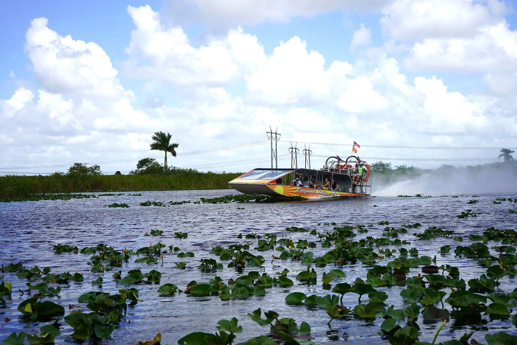 3 Great Areas You’ll Want to Go on Your Everglades Airboat Tour