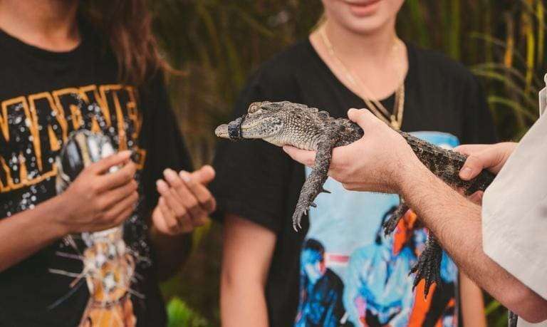 Animal Encounters