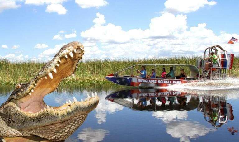 Alligator Everglades Airboat Tours