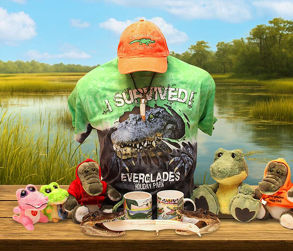 Display of Everglades Holiday Park gift shop merchandise including an orange logo hat, green souvenir T shirt with alligator graphic, plush alligators and monkeys, collectible mugs, and an alligator jaw set arranged on a table with an Everglades backdrop.