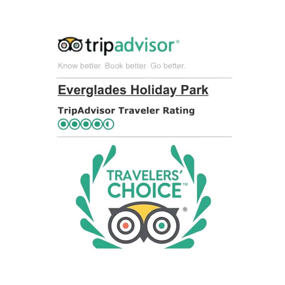 Experience Exotic, Educational Fun